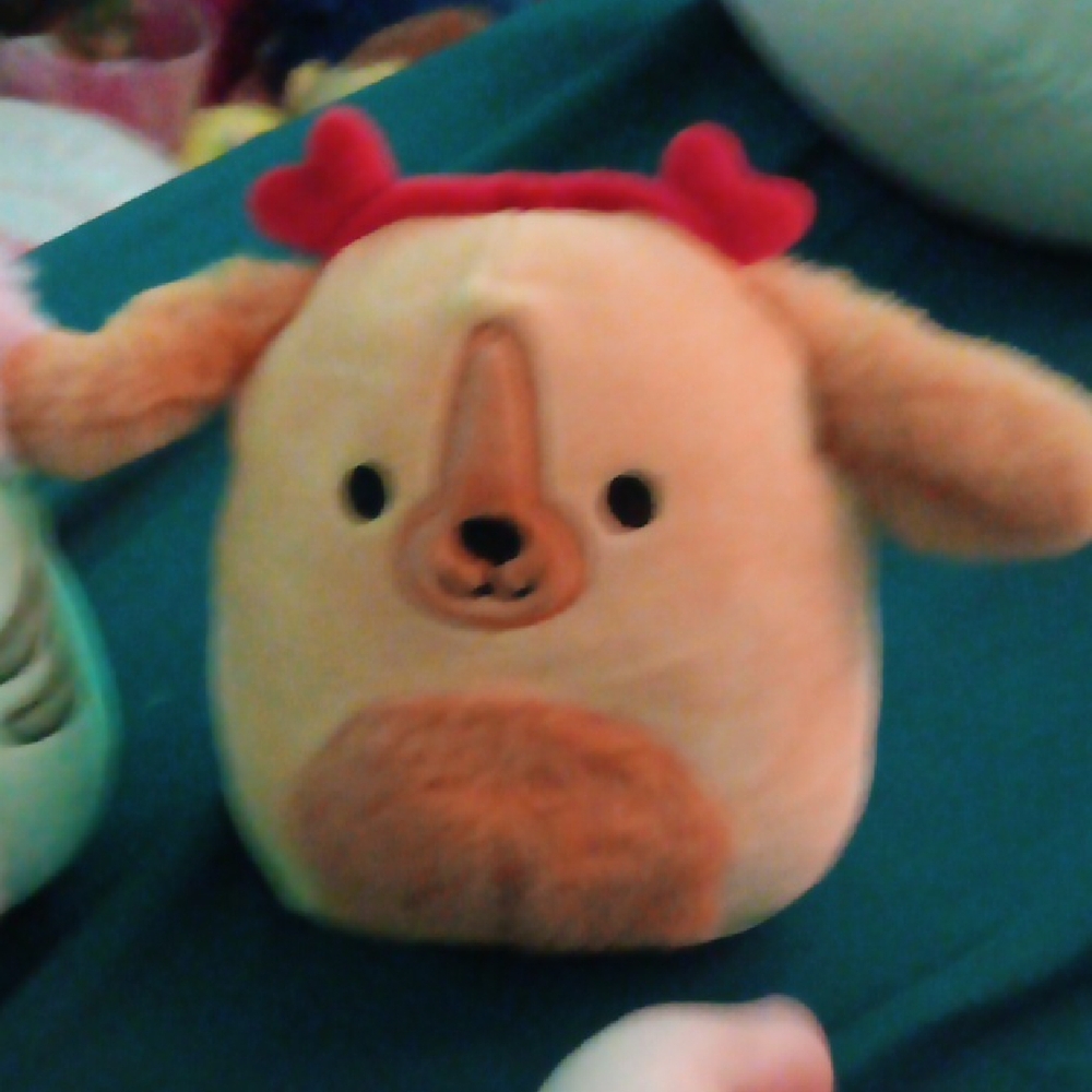 Squishmallows White and Tan Stuffed Animal Collection - Picture 4 of 5